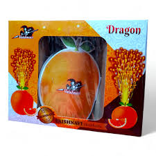 ORANGE DRAGAN